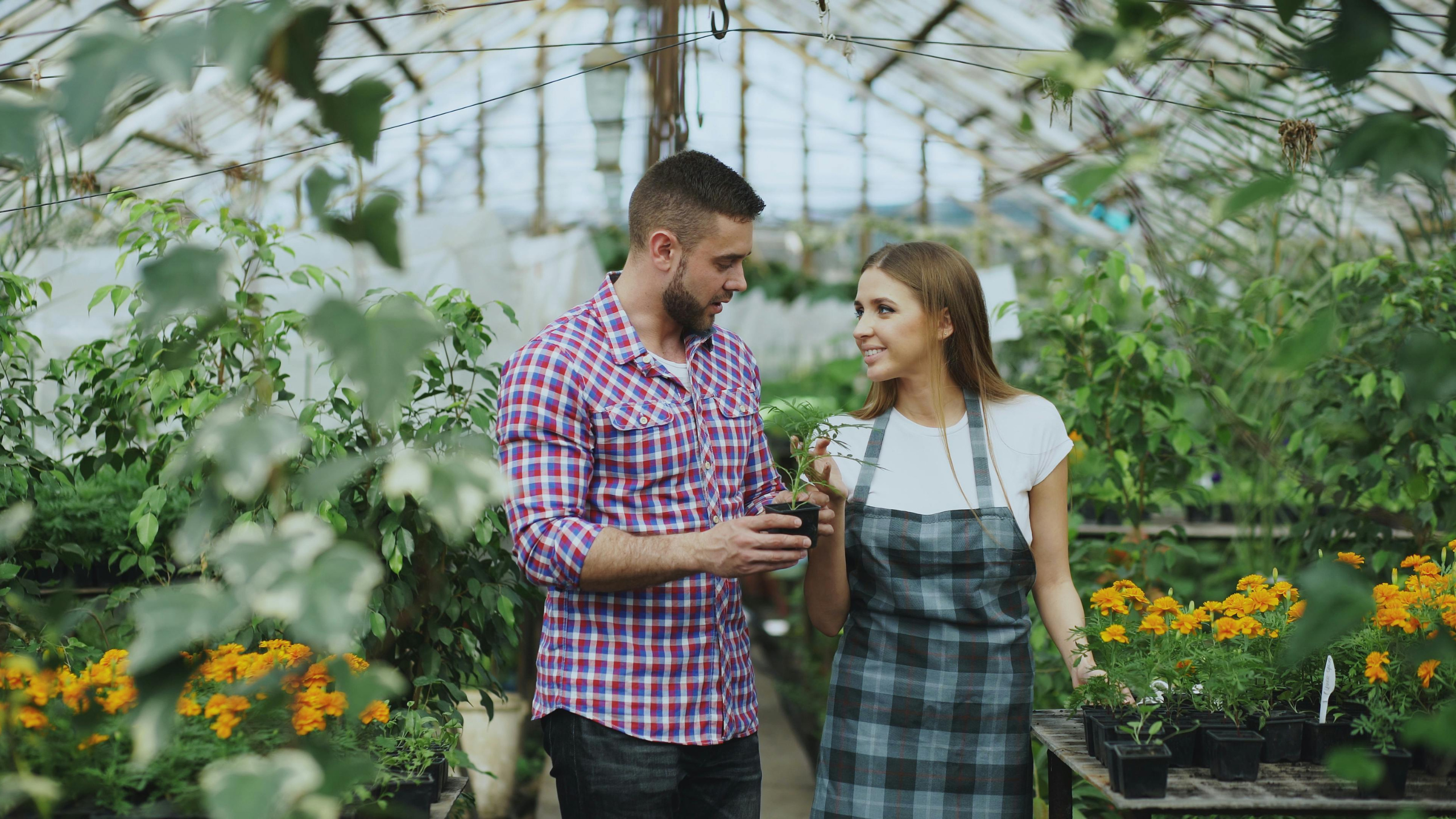 Bet Ideas for Couples with Punishments: 50+ Funny, Creative & Embarrassing Wagers